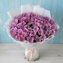 Букет цветов из:  Хризантемы #REPLACE_PRED# Березанской