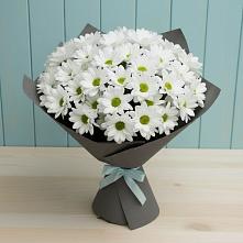 Букет цветов из:  Хризантемы в Березанской