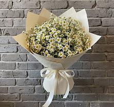 Букет цветов из:  Ромашки #REPLACE_PRED# Березанской